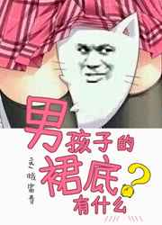 ����С˵:�к��ӵ�ȹ����ʲô ���+����