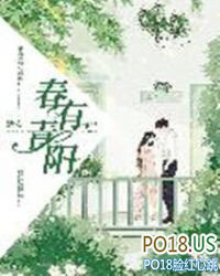 ����С˵:��������