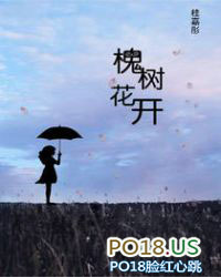 ����С˵:��������