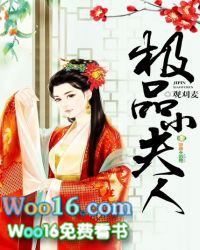 ����С˵:��ƷС����