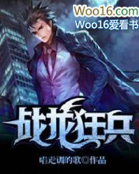 ����С˵:ս�����