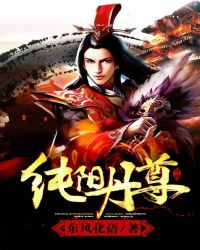 ����С˵:��������