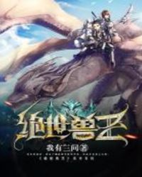 ����С˵:��������