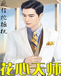 ����С˵:������ʦ