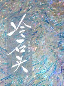 ����С˵:��ʯͷ