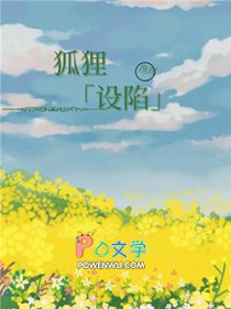 ����С˵:��������