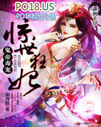 ����С˵:���۶��裺��������