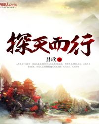 ����С˵:̽�����