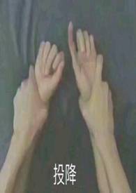 ����С˵:����֮��