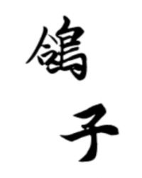 ����С˵:����