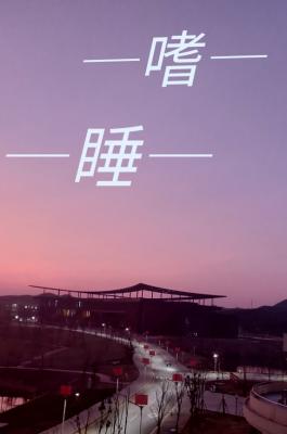 ����С˵:��˯