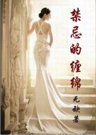 ����С˵:���ɵĲ���