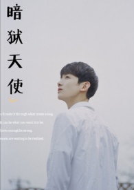 ����С˵:������ʹ