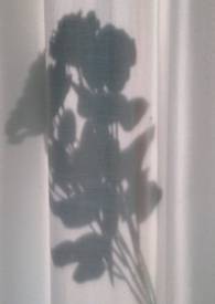 ����С˵:������ЧӦ