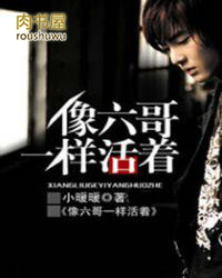 ����С˵:������һ������