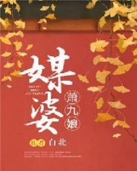 ����С˵:ý��������