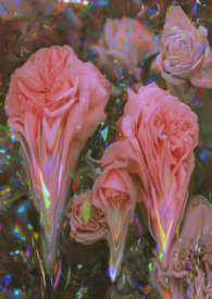 ����С˵:ǿ��