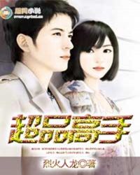 ����С˵:��Ʒ����