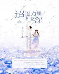 ����С˵:��������������