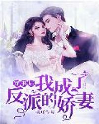 ����С˵:������ҳ��˷��ɵĽ���