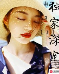 ����С˵:�������