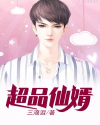 ����С˵:��Ʒ����