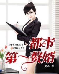 ����С˵:���е�һ׸��