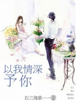 ����С˵:������������