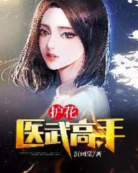 ����С˵:����ҽ�����