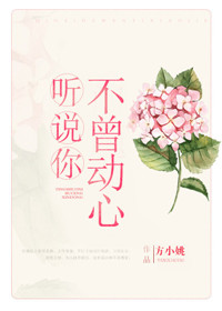 ����С˵:��˵�㲻������