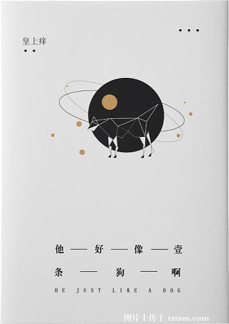 ����С˵:������һ������