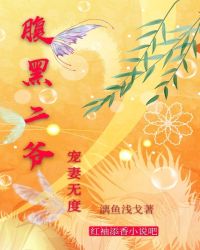 ����С˵:���ٵ���轿��