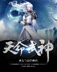 ����С˵:��������