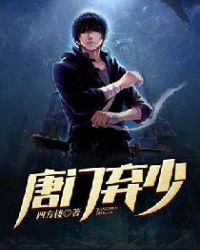 ����С˵:��������