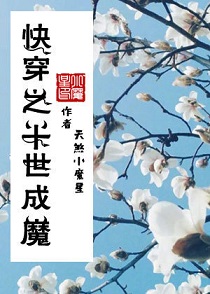 ����С˵:ʮ����ħ[�촩]