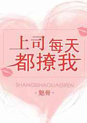 ����С˵:��˾ÿ�춼����