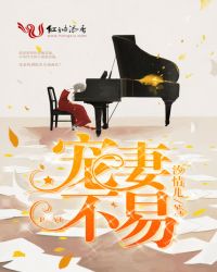 ����С˵:���޲���