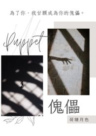 ����С˵:����