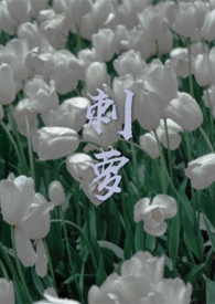 ����С˵:����