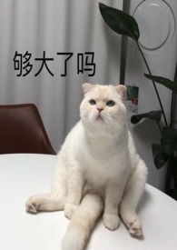 ����С˵:������ˮһ��