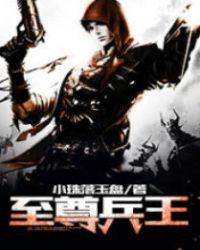 ����С˵:�������