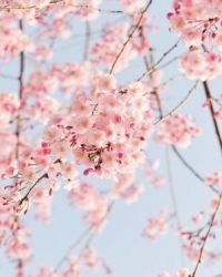 ����С˵:ǡ��