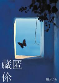 ����С˵:������