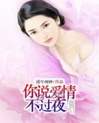 ����С˵:��˵���鲻��ҹ