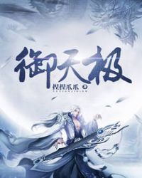 ����С˵:���켫