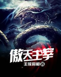 ����С˵:��������