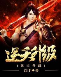 ����С˵:��������