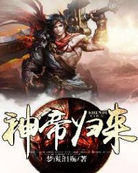 ����С˵:��۹���