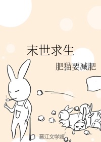 �ƻ�С˵:ĩ������