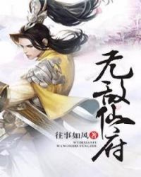 ����С˵:�޵��ɸ�